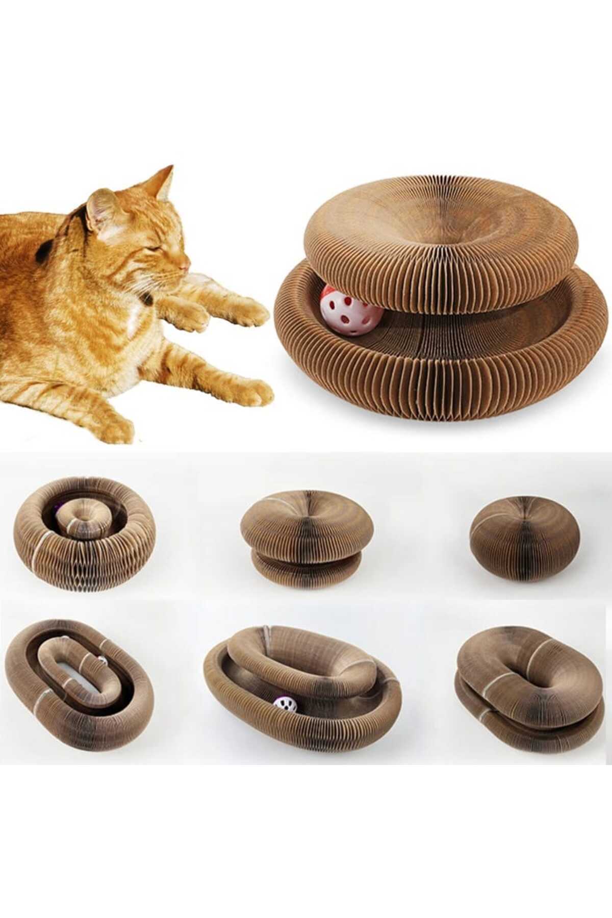 Pawlio™ Spiral Kedi Oyuncağı