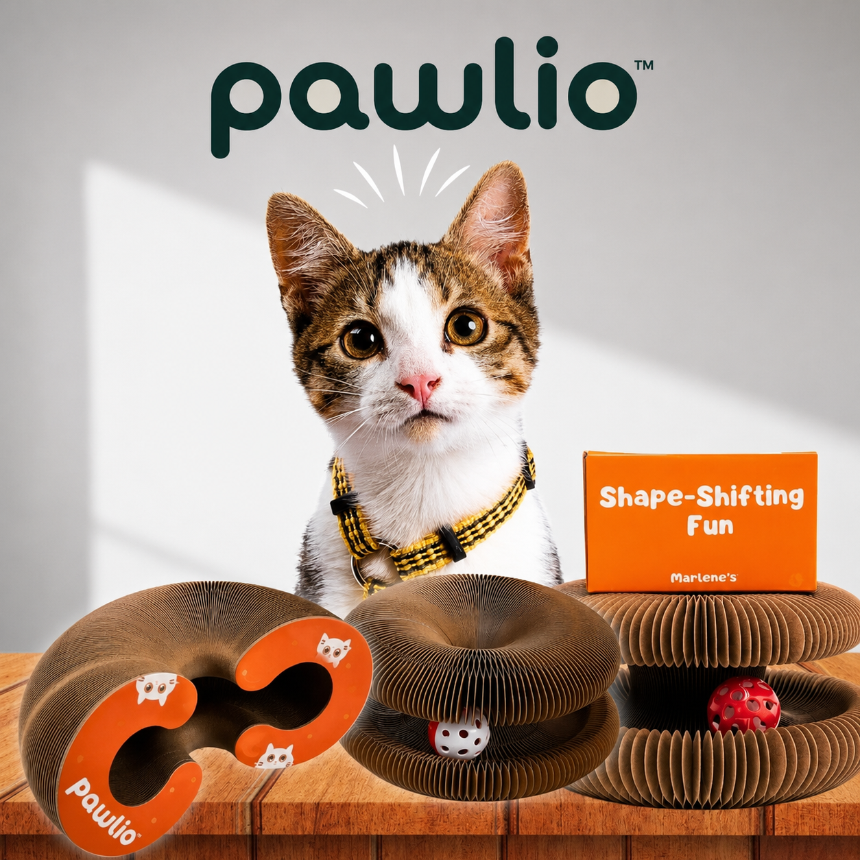 Pawlio™ Spiral Kedi Oyuncağı