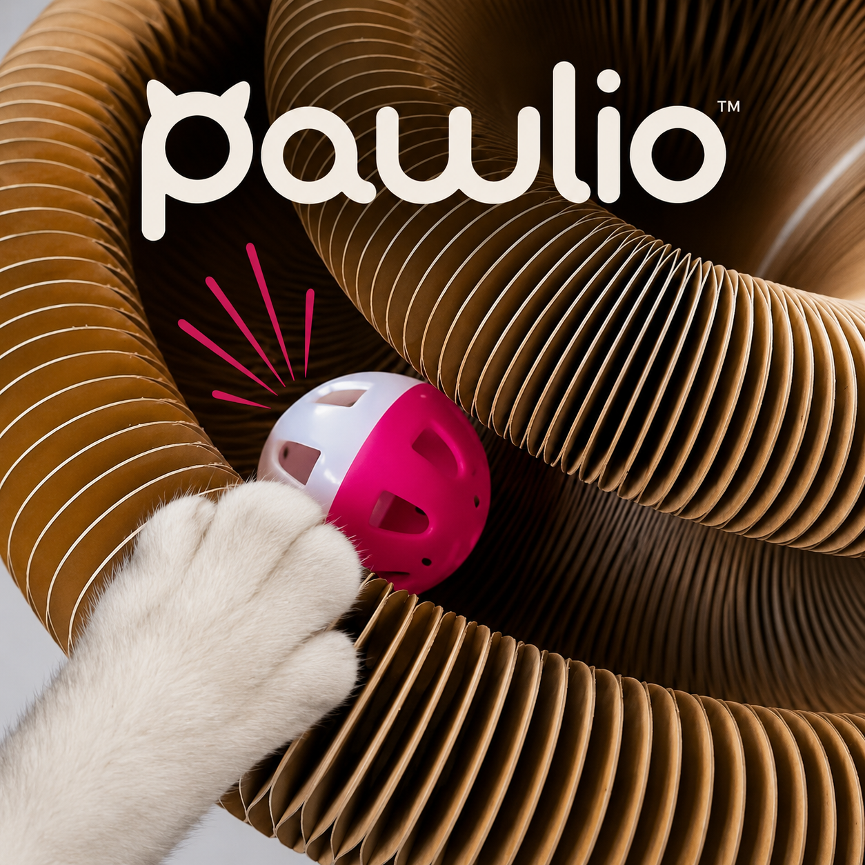 Pawlio™ Spiral Kedi Oyuncağı