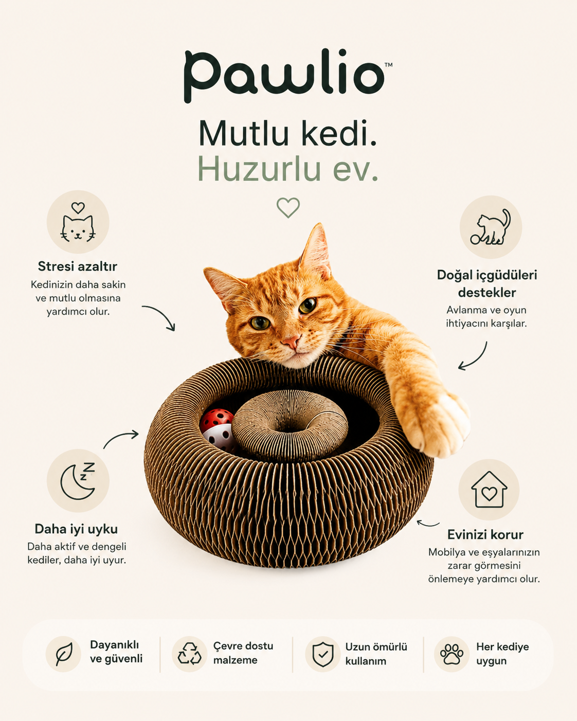 Pawlio™ Spiral Kedi Oyuncağı