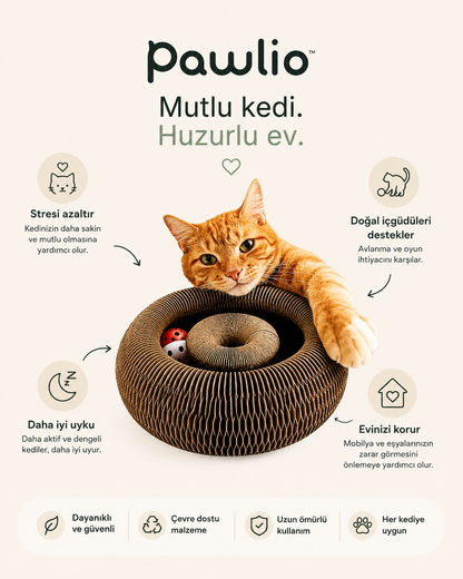 Pawlio™ Spiral Kedi Oyuncağı